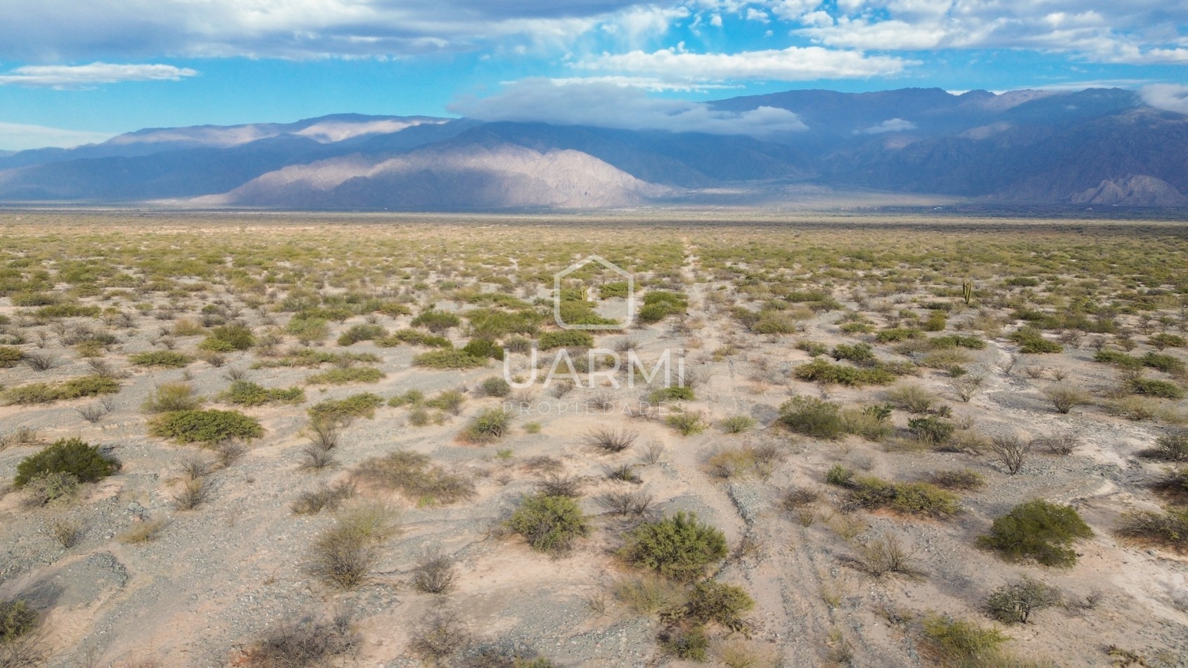 LOTES EN VENTA EN TOLOMBON, CAFAYATE 