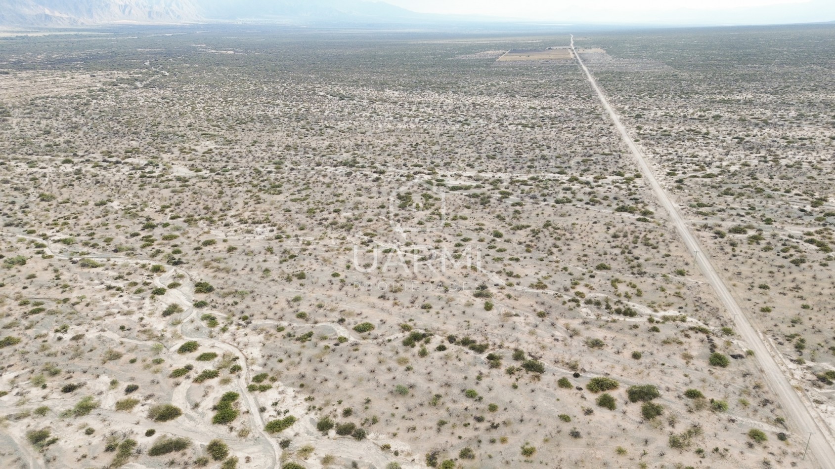 LOTES EN VENTA EN TOLOMBON, CAFAYATE 