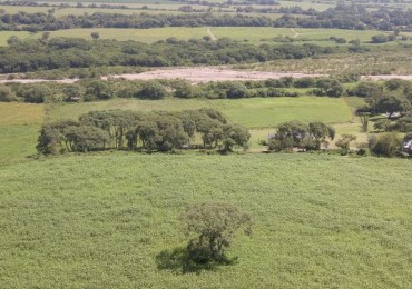UARMI Propiedades vende terreno en Los Los, Chicoana.